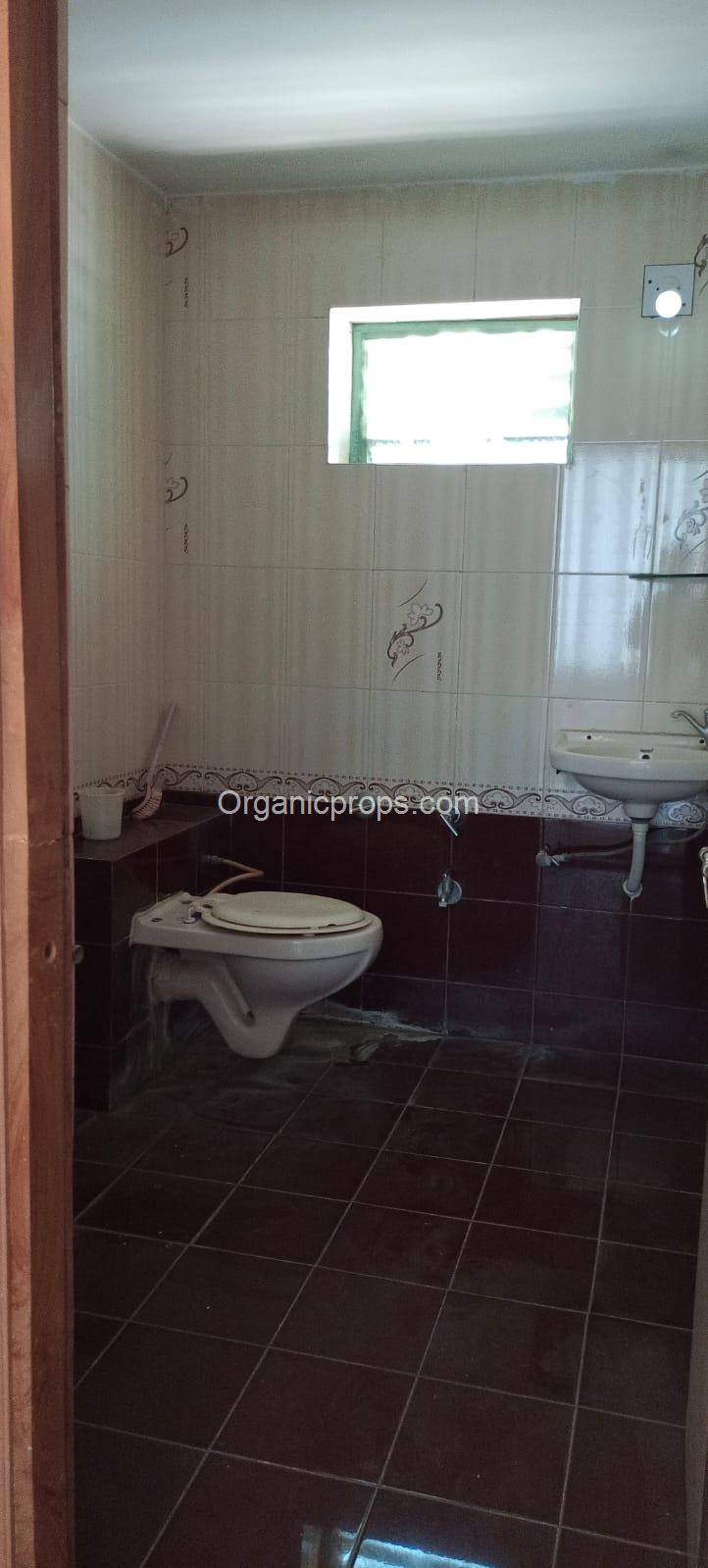 WhatsApp Image 2023-10-25 at 620231025180956290.jpeg